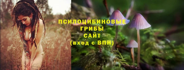 амф Нягань