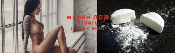 ПСИЛОЦИБИНОВЫЕ ГРИБЫ Няндома