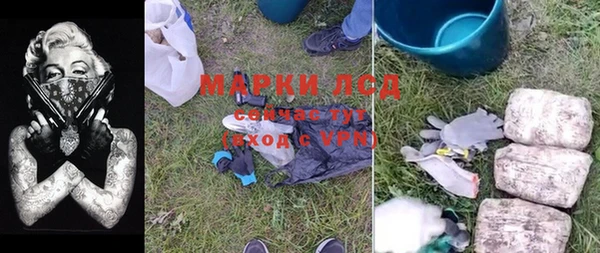 ПСИЛОЦИБИНОВЫЕ ГРИБЫ Няндома