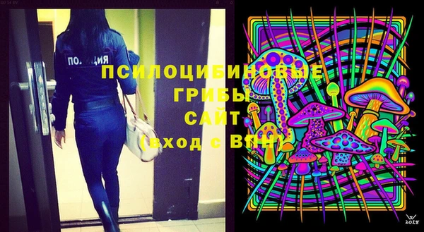 ПСИЛОЦИБИНОВЫЕ ГРИБЫ Няндома