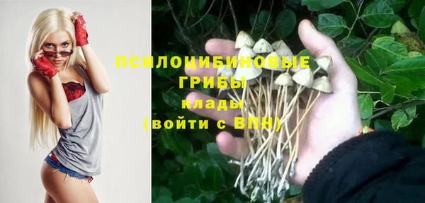 крисы Новокубанск